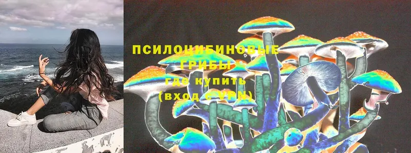 Галлюциногенные грибы Psilocybine cubensis  Прохладный 